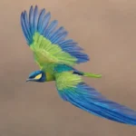 Aves vibrantes en vuelo destacan por su dinamismo y colores intensos que evitan la monotonía